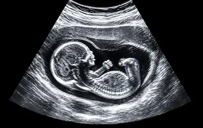 famygensalud content image 6